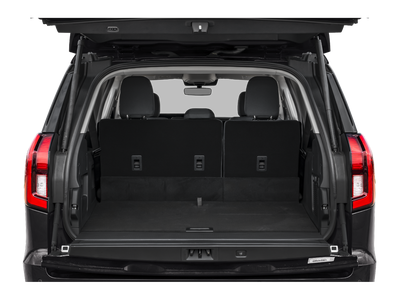 2025 Ford Expedition Max Active 202A Luxury Pkg w/ Bluecruise