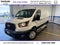 2025 Ford Transit-250 Base 130" WB