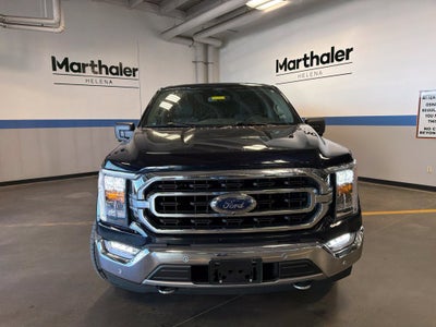 2021 Ford F-150 XLT 302A Pkg FX4