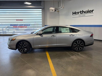 2026 Honda Accord Hybrid Touring