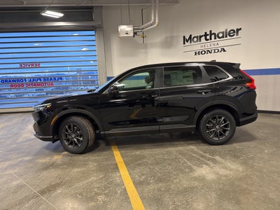 2026 Honda CR-V EX-L