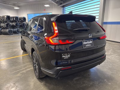 2026 Honda CR-V EX-L AWD