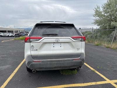 2024 Toyota RAV4 XLE Premium w/ Weather Pkg