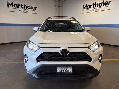2024 Toyota RAV4 XLE Premium w/ Weather Pkg