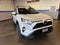 2024 Toyota RAV4 XLE Premium w/ Weather Pkg