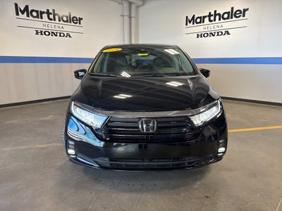 2024 Honda Odyssey EX-L