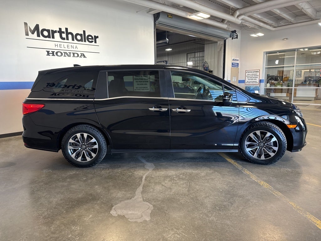 2024 Honda Odyssey EX-L