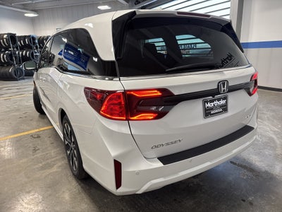 2026 Honda Odyssey Elite