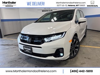 2026 Honda Odyssey Elite